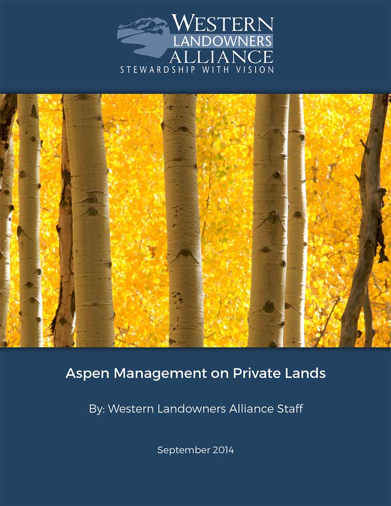 Aspen-Management-Guide-Cover