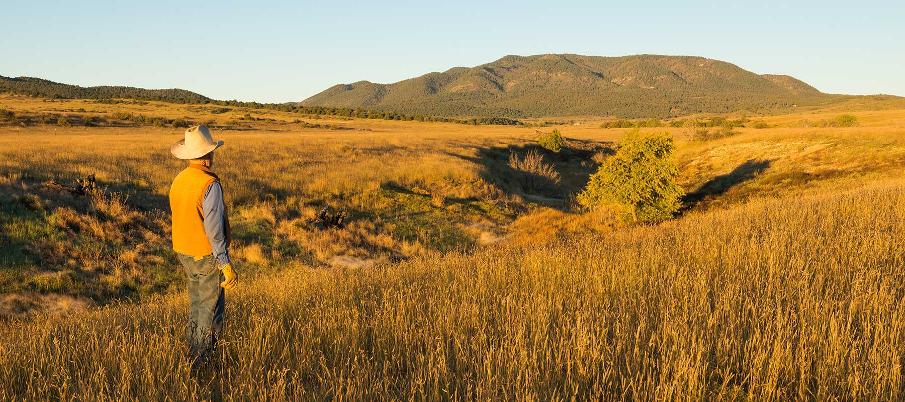 Western Landowners Alliance ranch image Western Landowners Alliance