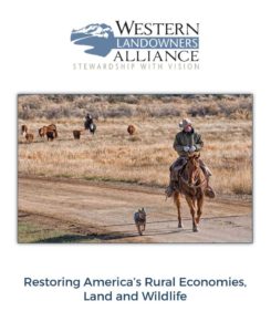 Restoring-Americas-Rural-Economies