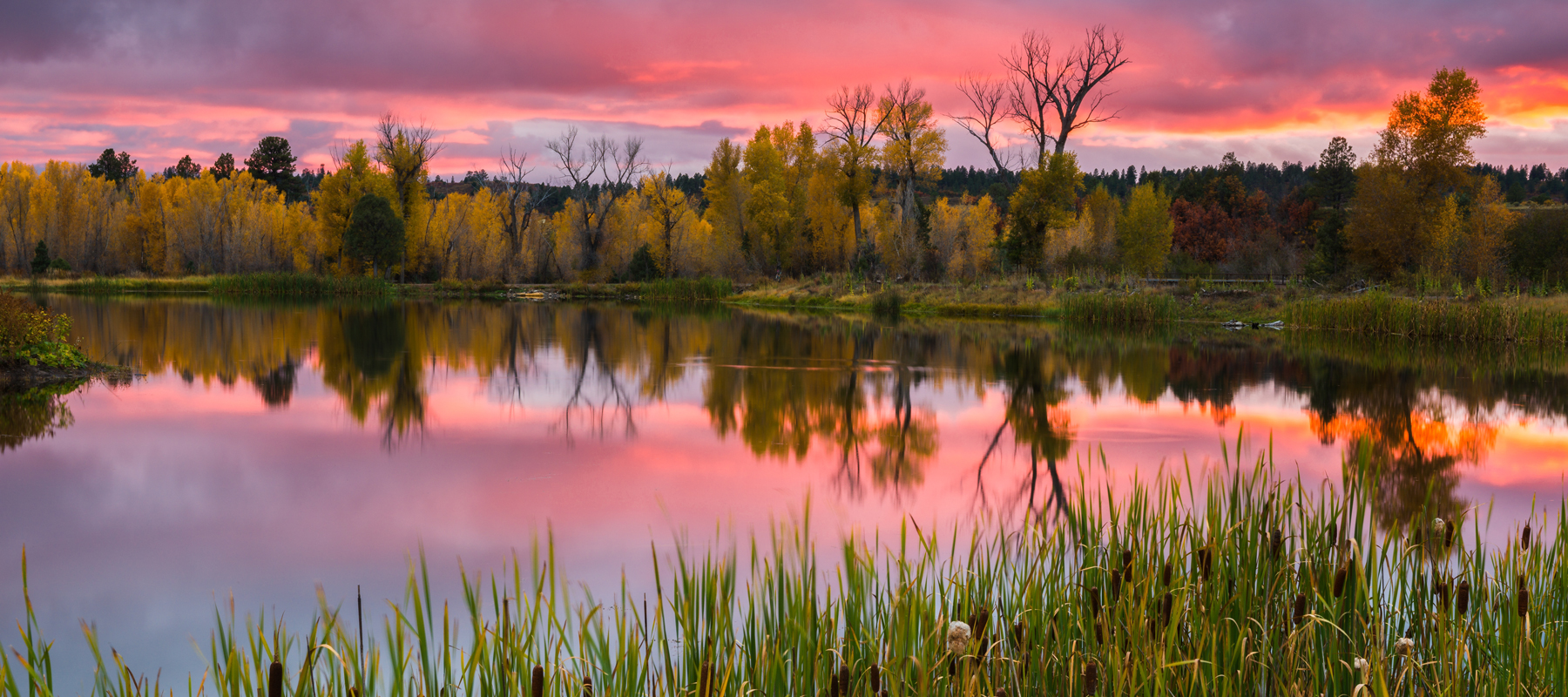 Moore Land and Cattle Co Photos Western Landowners Alliance