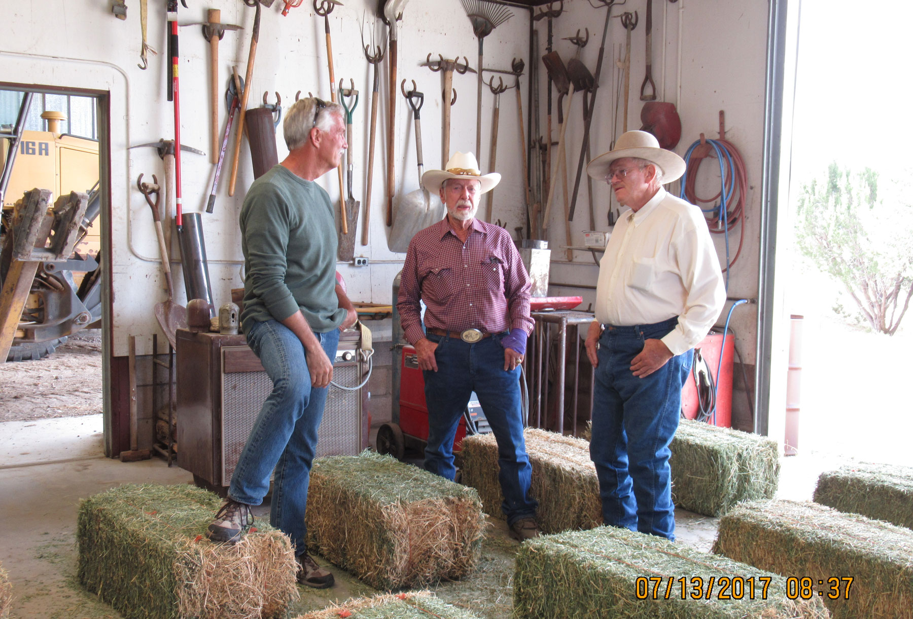 Moore Land & Cattle Album Western Landowners Alliance