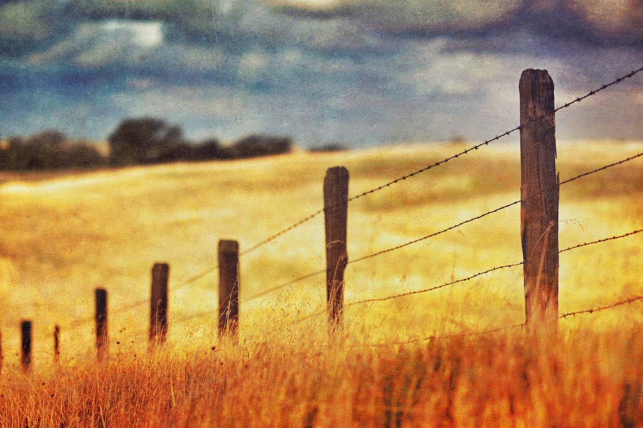 An old barbed wire fence follows the contours of a prairie's rolling hills under a moody sky. Grungy distressed vintage treatment.