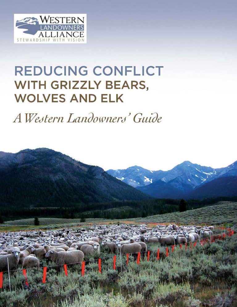 Reducing Conflict With Grizzly Bears, Wolves And Elk – Western ...