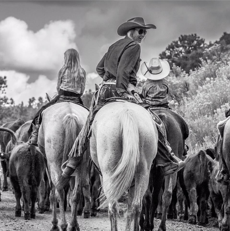 Bethgodbey Equine Empowerment Co Photo Natalie Heller – Western 