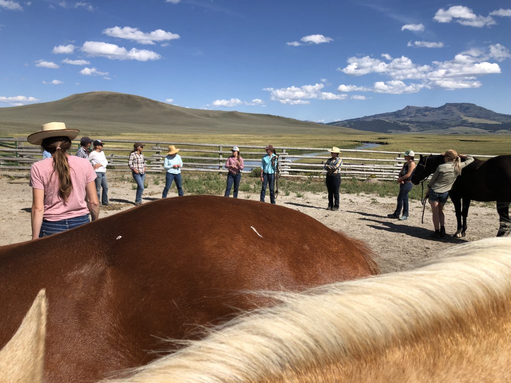 Circle 4 J Bar L Ranch Montana Western Landowners Alliance
