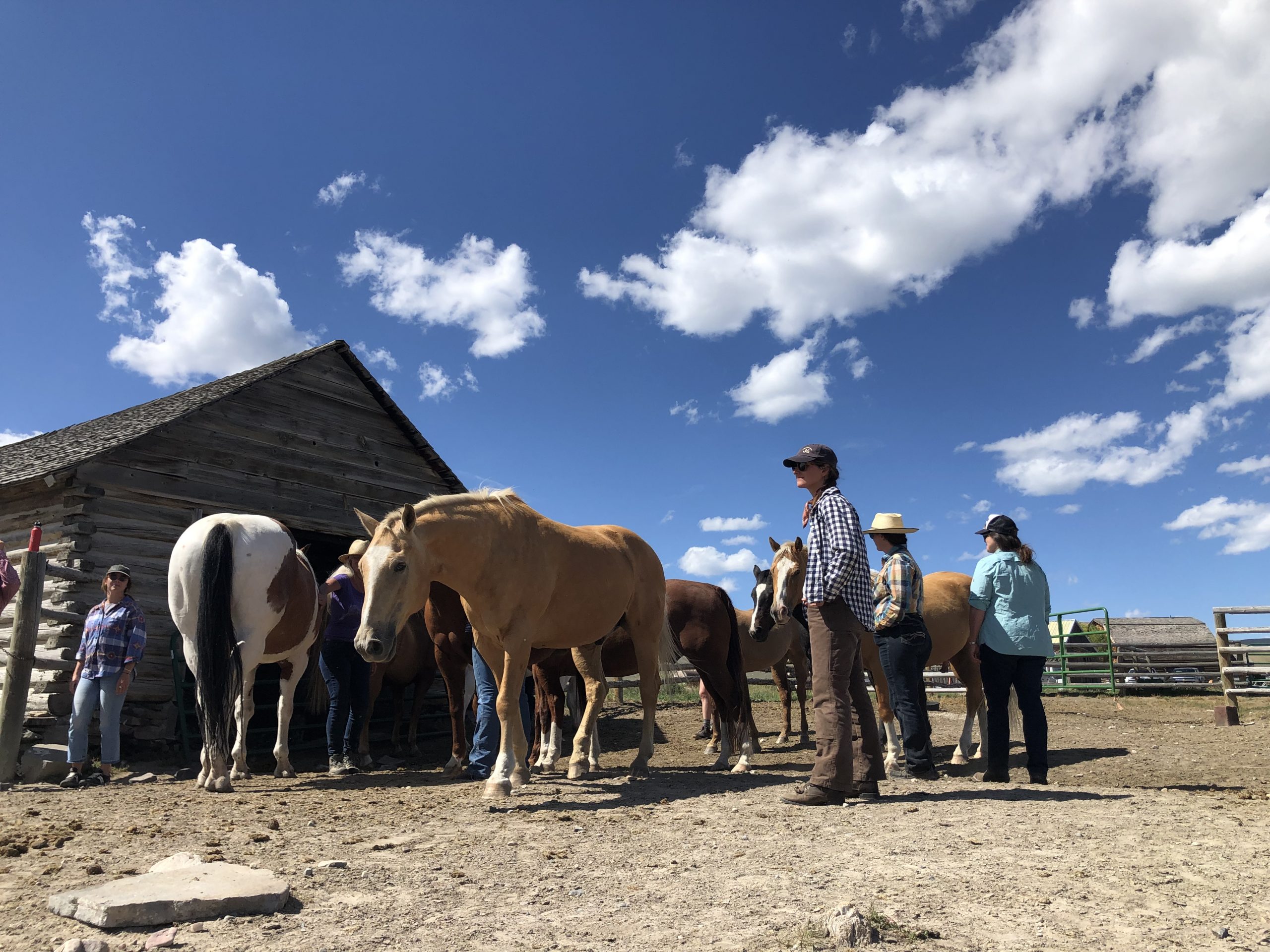 Circle 4 J Bar L Ranch Montana Western Landowners Alliance