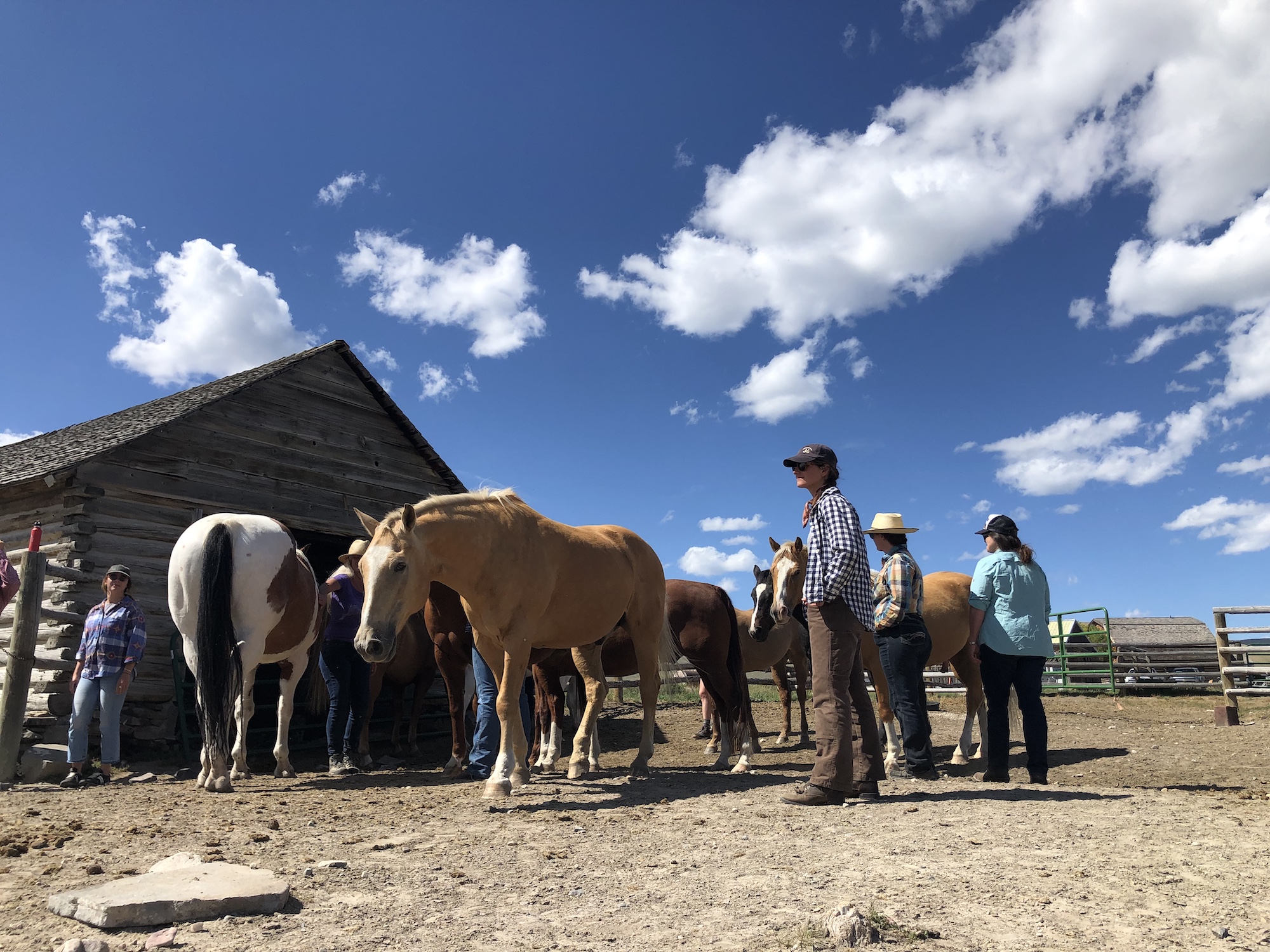 J Bar L Ranch Western Landowners Alliance