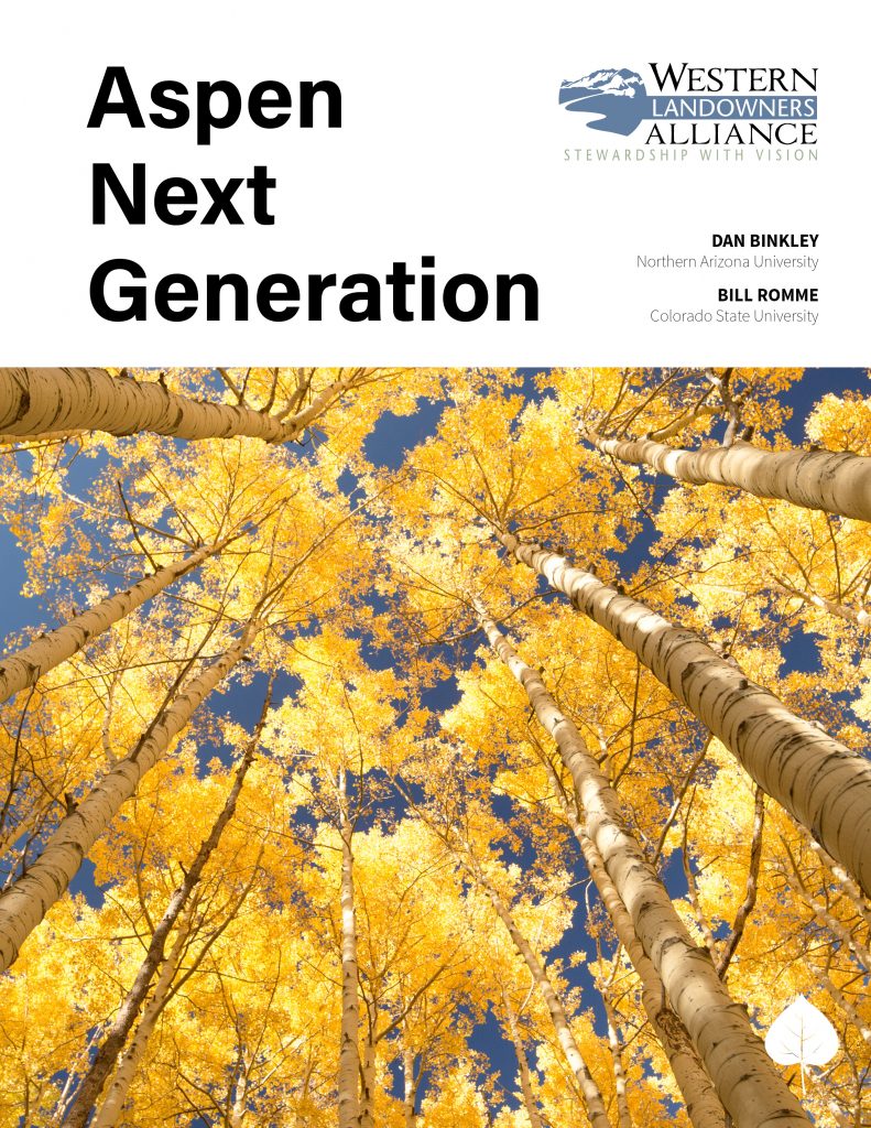 Cover Aspen Next Generation Report