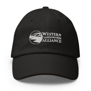 WLA Logo Relaxed Baseball Cap