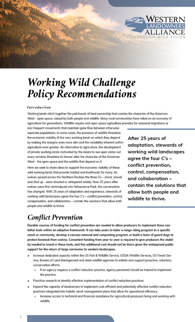 2020 Working Wild Challenge Policy Recommendations COVER