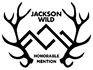 2021_HonorableMention_Laurel_Black