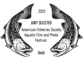 2022 Jury Selected Award Winner – Gold