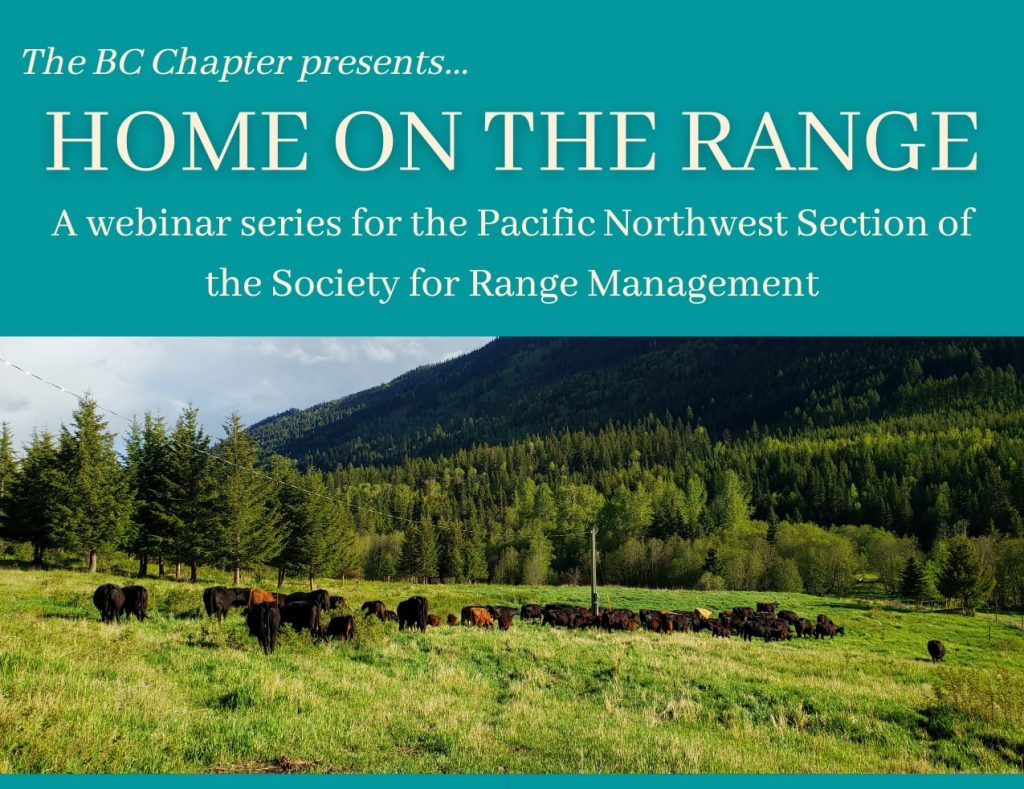 What problems do you see emerging from a project such as sbinet image