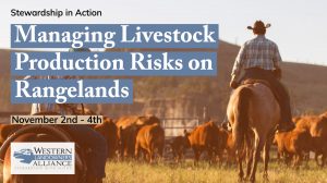 Managing Livestock Production Risks on Rangelands