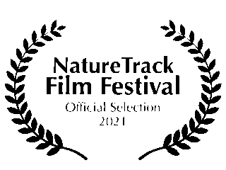 nature track fixed for web-04