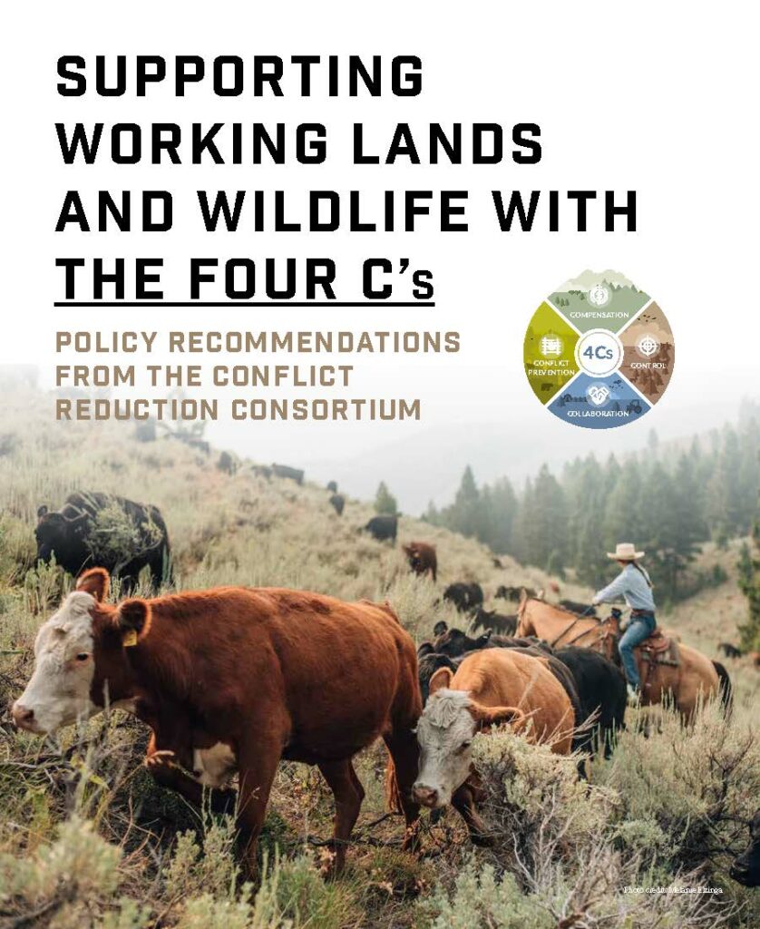 Cover from Supporting Working Lands and Wildlife with The Four Cs_vF_05.25.2022