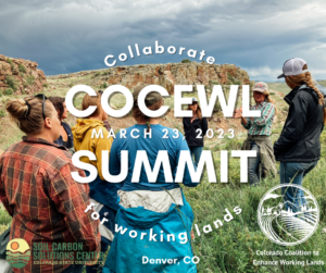 COCEWL Summit (1)
