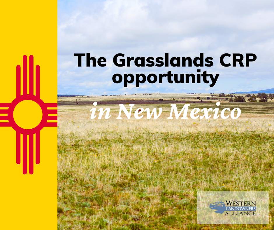 NM Grasslands CRP opportunity