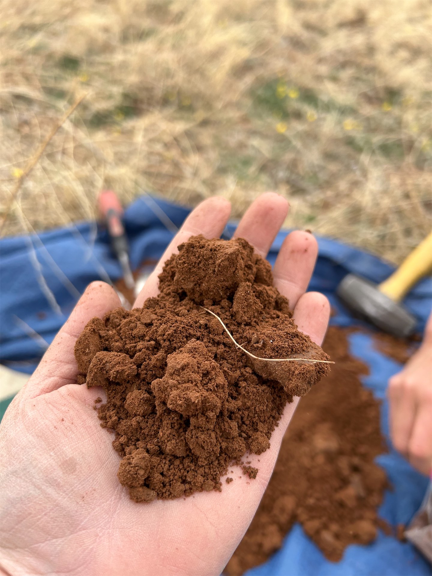 Soil sampling is helping to establish a baseline to measure improvements against. Photo by Megan Nasto, Working Lands Conservation.