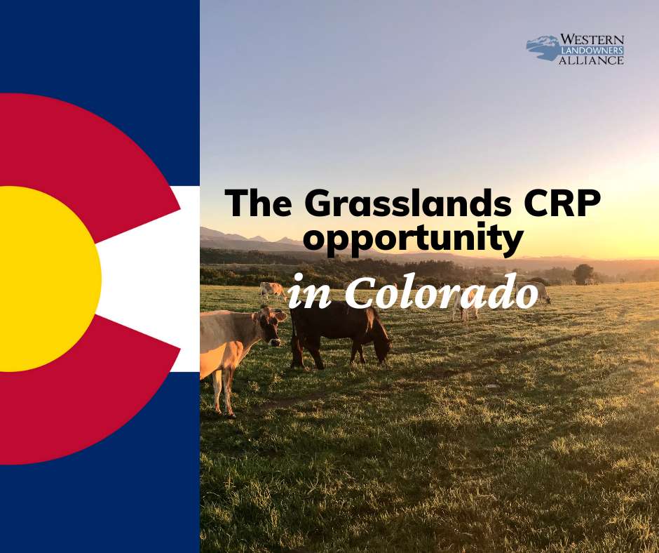 The Grasslands CRP opportunity (Facebook Post-Landscap
