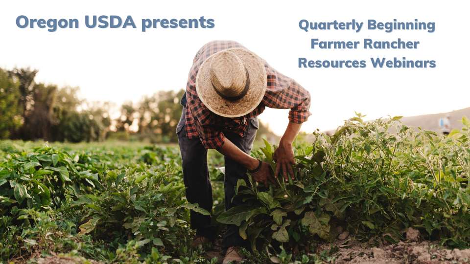 Oregon USDA Beginning FarmerRancher Resources webinar