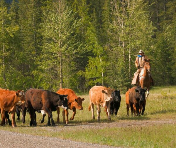 December 2023 Western Landowners Alliance