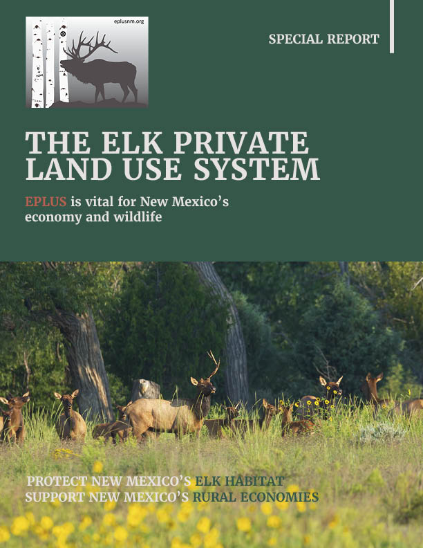 EPLUS White Paper_April2024_COVER