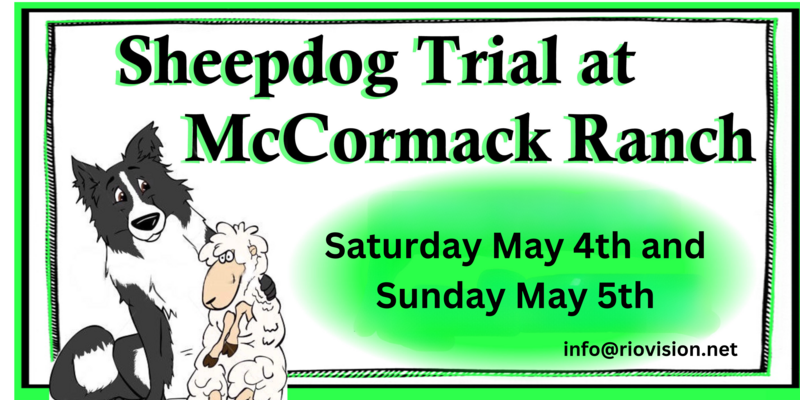 Sheepdog-Trial-2024-Banner-3-x-6-800