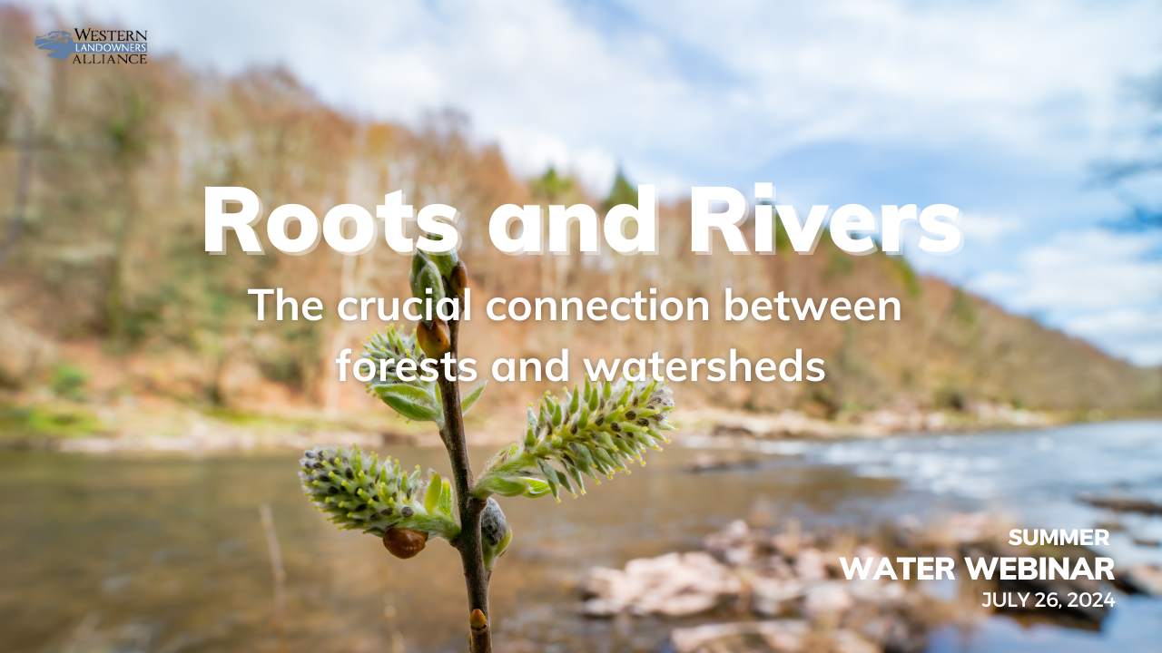 Roots and RIvers Featured
