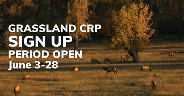 GCRP Sign UP Open