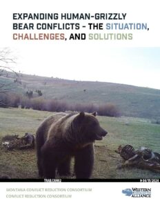 Cover of Grizzly_Situation_Problem_Solution 8.12.24_web_final