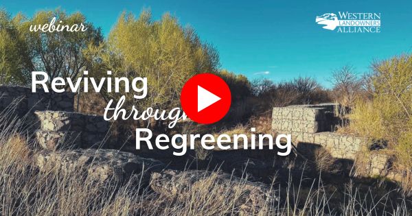 Webinar Reviving Regreening - YouTube Thumbnail (600 x 315 px)