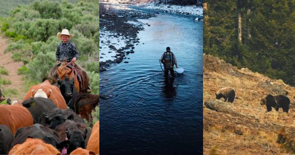 Working Hands Wild Lands Horizontal Poster Banner (600 x 315 px)