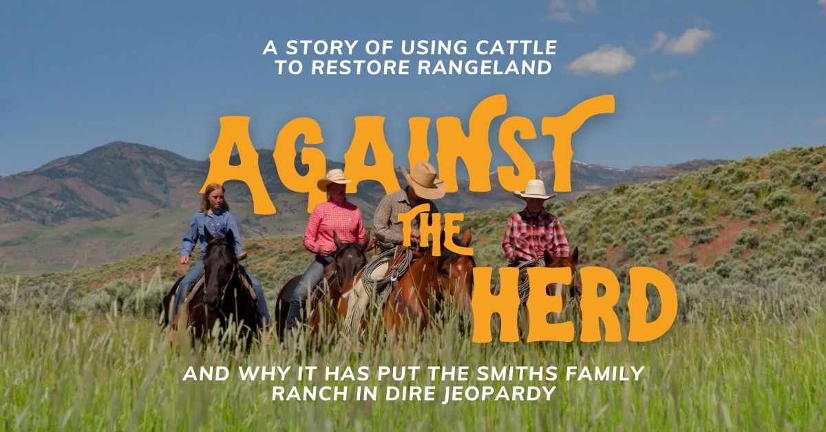 AGAINST THE HERD FB POST (1200 x 628 px) (2)