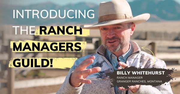 WhitehurstGuildLaunchImage