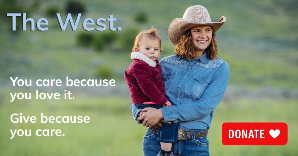 Give because you care email image