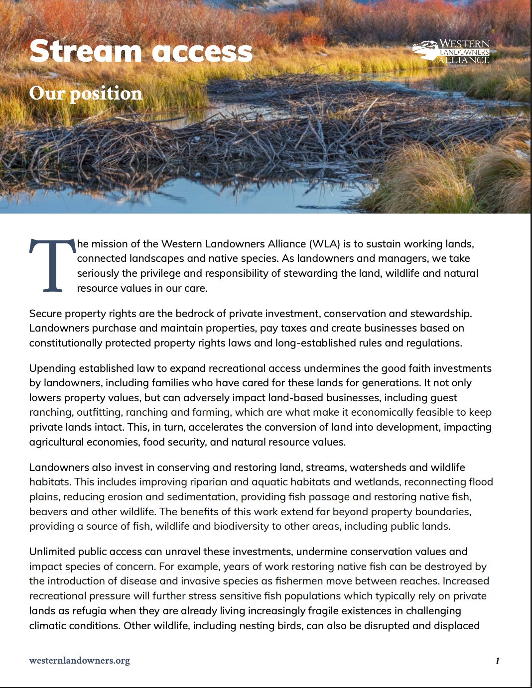 Screenshot 2025-11-11 at 8.42.49 AM