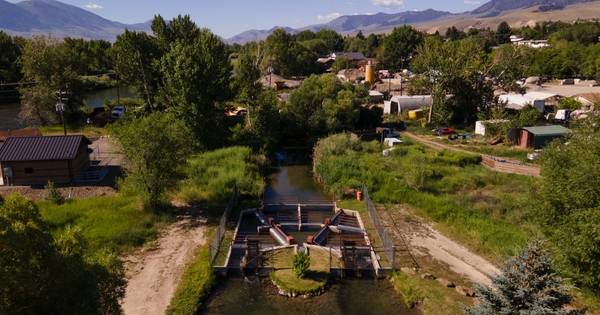 Landowners along this irrigation ditch near where the Lemhi River meets the Salmon River in Idaho partnered with state and federal programs to install fish screens that allow irrigation without trapping spawning fish.