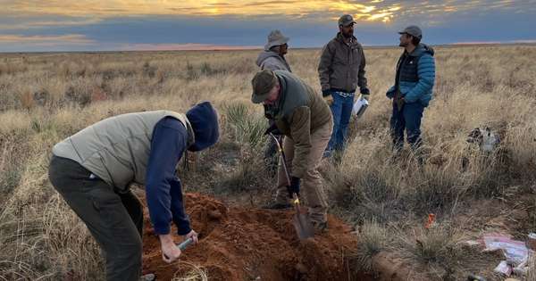 For this ranch in the Southern Great Plains, healthy soil is one of a number of key measures of success.