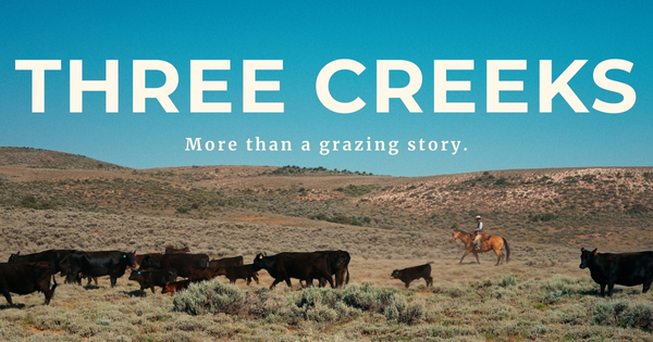 Three Creeks Banner for home page