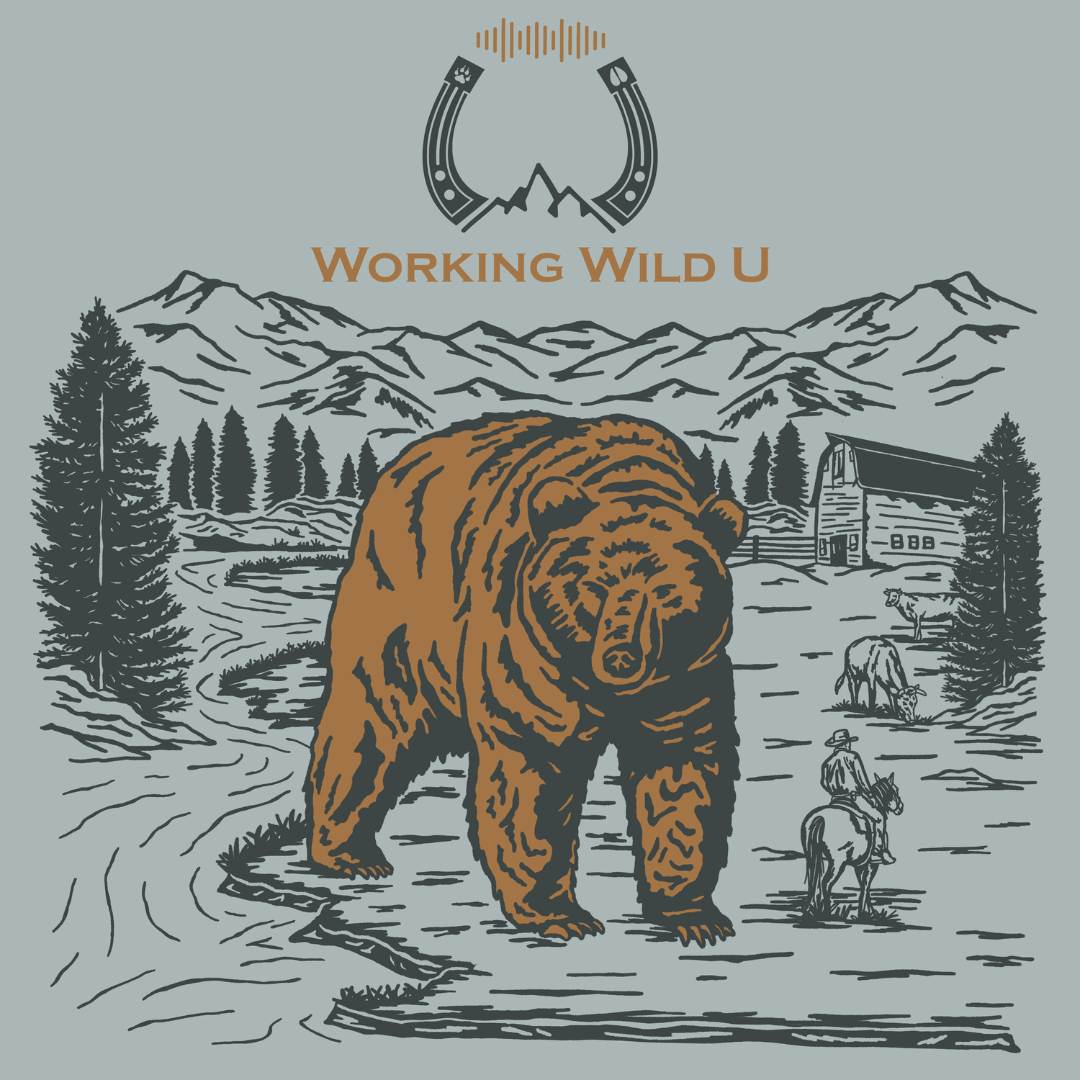 WWU Season 3 Show Art