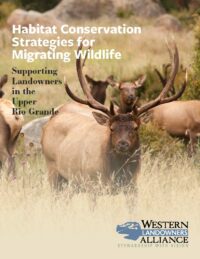 Habitat Conservation Strategies for Migrating Wildlife Cover Image