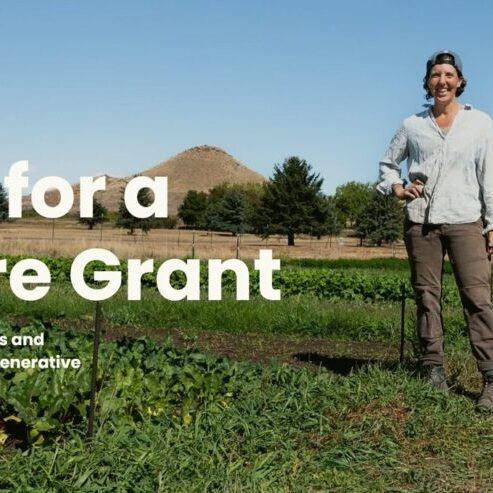 Screenshot 2026-03-03 at 12-05-13 Restore Grants — Zero Foodprint