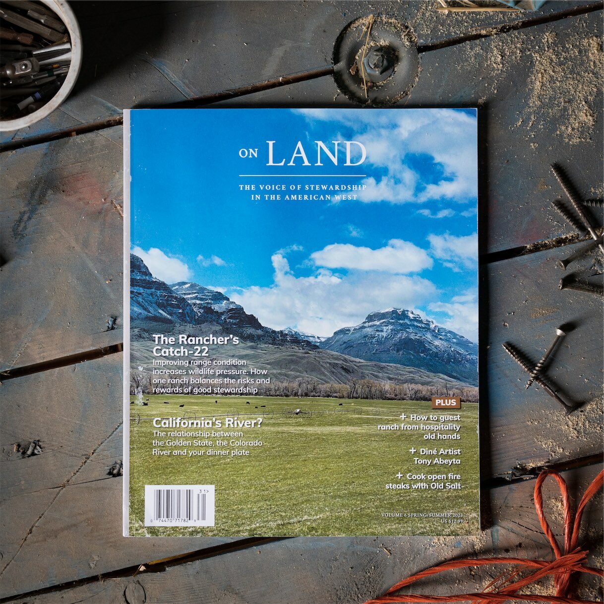Flatlay (product photo) of On Land Volume 6