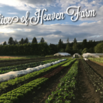 Slice of Heaven Farm
